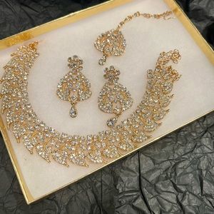 New Gorgeous Blingy Indian/Pakistan Jewelry Set